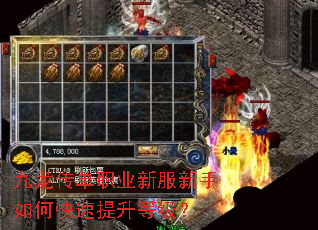 九龙传单职业新服新手如何快速提升等级? 九龙传单职业新服新手如何快速提升等级?