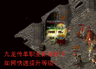 九龙传单职业新服新手如何快速提升等级? 九龙传单职业新服新手如何快速提升等级?