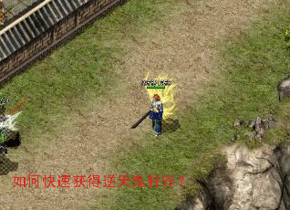 ��ο��ٻ�������������