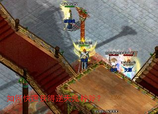 ��ο��ٻ�������������