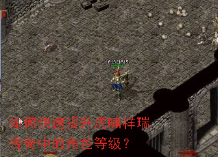 ��ο���������Х�������еĽ�ɫ�ȼ���