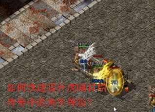 ��ο���������Х�������еĽ�ɫ�ȼ���