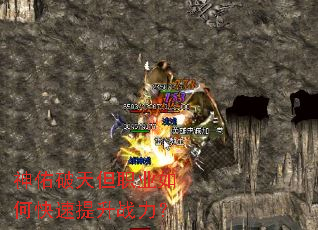 �������쵫ְҵ��ο�������ս����