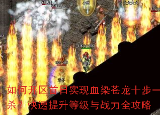 ��ο�������ʵ��ѪȾ����ʮ��һɱ�����������ȼ���ս��ȫ����