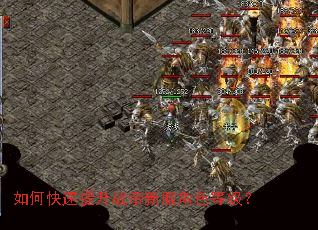 ��ο�������ս���·���ɫ�ȼ���