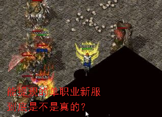 �����ֵĵ�ְҵ�·������ǲ�����ģ�