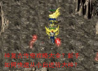 �񸴹Ŵ��湥�Դ�ȫ��������ο��ٴ�С�׽��״���