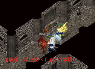 ��ְҵ���漼��PK�ַ�������գ�