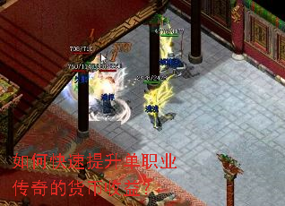 ��ο���������ְҵ����Ļ������棿