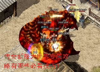 �����·�������ר����������Щ�ؿ����ɣ�