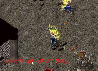 ����ѧԺ��ο��������ȼ���