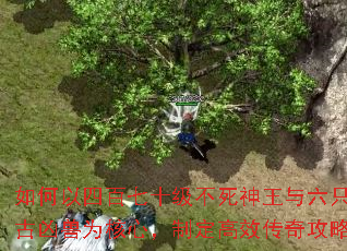 ������İ���ʮ��������������ֻ�Ϲ�����Ϊ���ģ��ƶ���Ч���湥�ԣ�