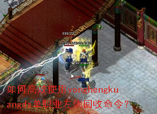 ��θ�Чʹ��yonghengkuangda��ְҵ���������