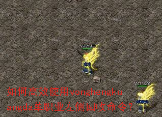 ��θ�Чʹ��yonghengkuangda��ְҵ���������