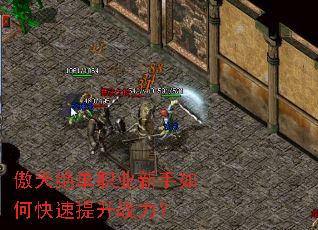 �������ְҵ������ο�������ս����