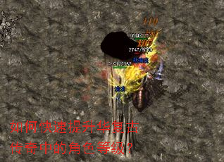 ��ο������������Ŵ����еĽ�ɫ�ȼ���