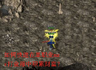 ��ο����ڵ�ְҵmax�����л��۲Ƹ���