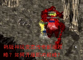 �����񼶱�̬�����·����ԣ���ο��������۷壿