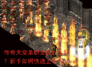 �������õ�ְҵѡʲô�ã�������ο������֣�