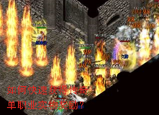 ��ο��ٻ�ô��浥ְҵʵ�ｱ����
