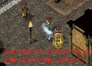 ��ο���ˢȡ���ֵ�ͼ��ɫѫ�¹֣��ر�����BOSS���伸���ж�ߣ�