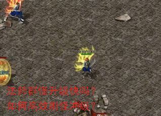 法师群怪升级快吗?如何高效刷怪冲级? 法师群怪升级快吗?如何高效刷怪冲级?
