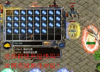 ��ʦȺ������������θ�Чˢ�ֳ弶��