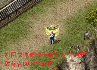 ��ο��ٻ��ܴ�����Ϸ�е��޵�����BOSS11680��