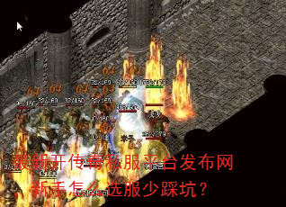 ���¿�����˽��ƽ̨��������������ôѡ���ٲȿӣ�