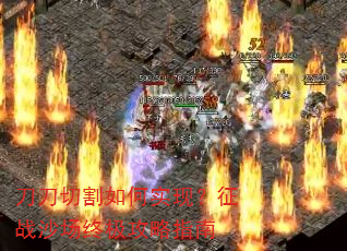 �����и����ʵ�֣���սɳ���ռ�����ָ��