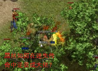 ��˿�������ʧ��������Ϯ�ɴ��У�